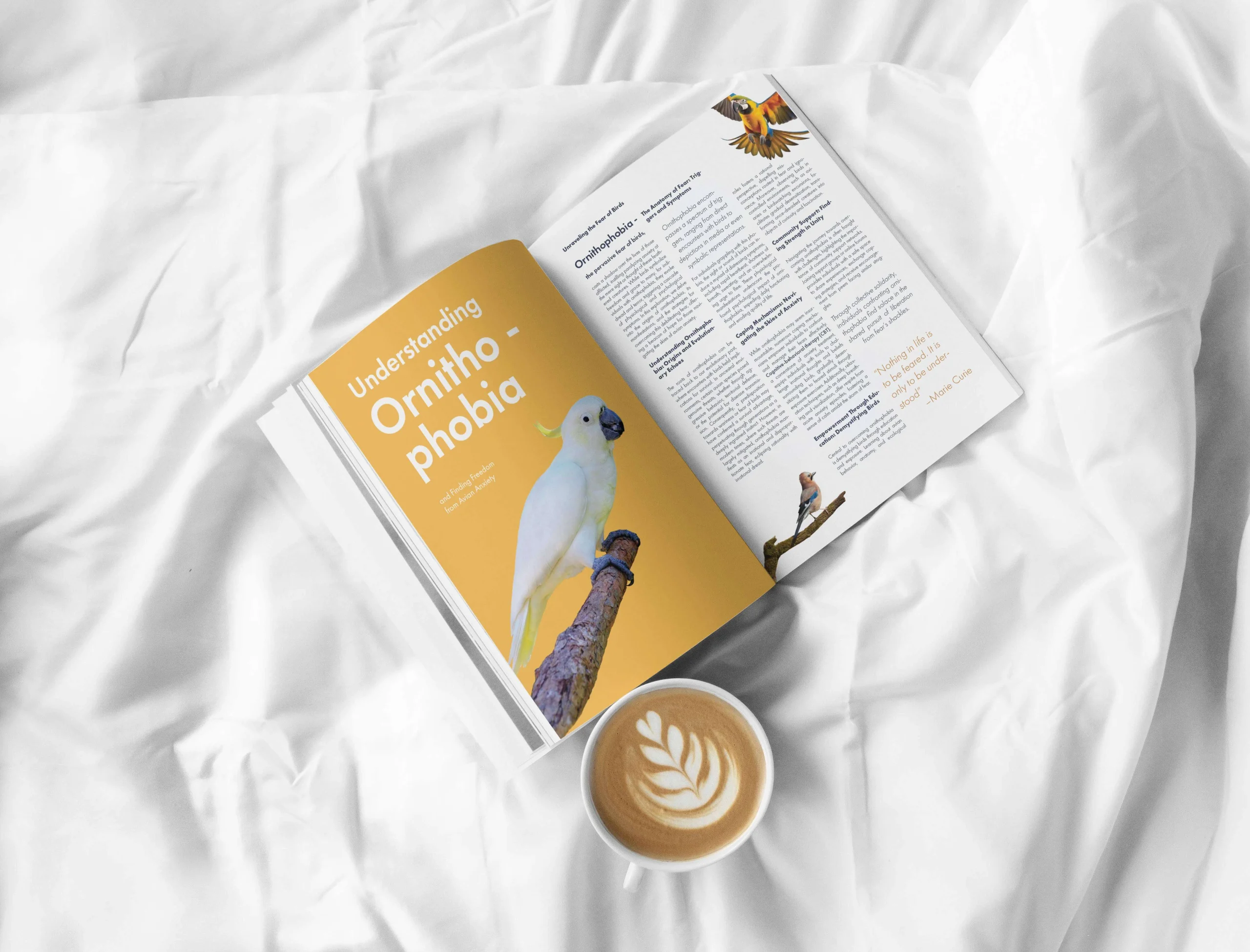 editorial design magazine layout with typography hierarchy