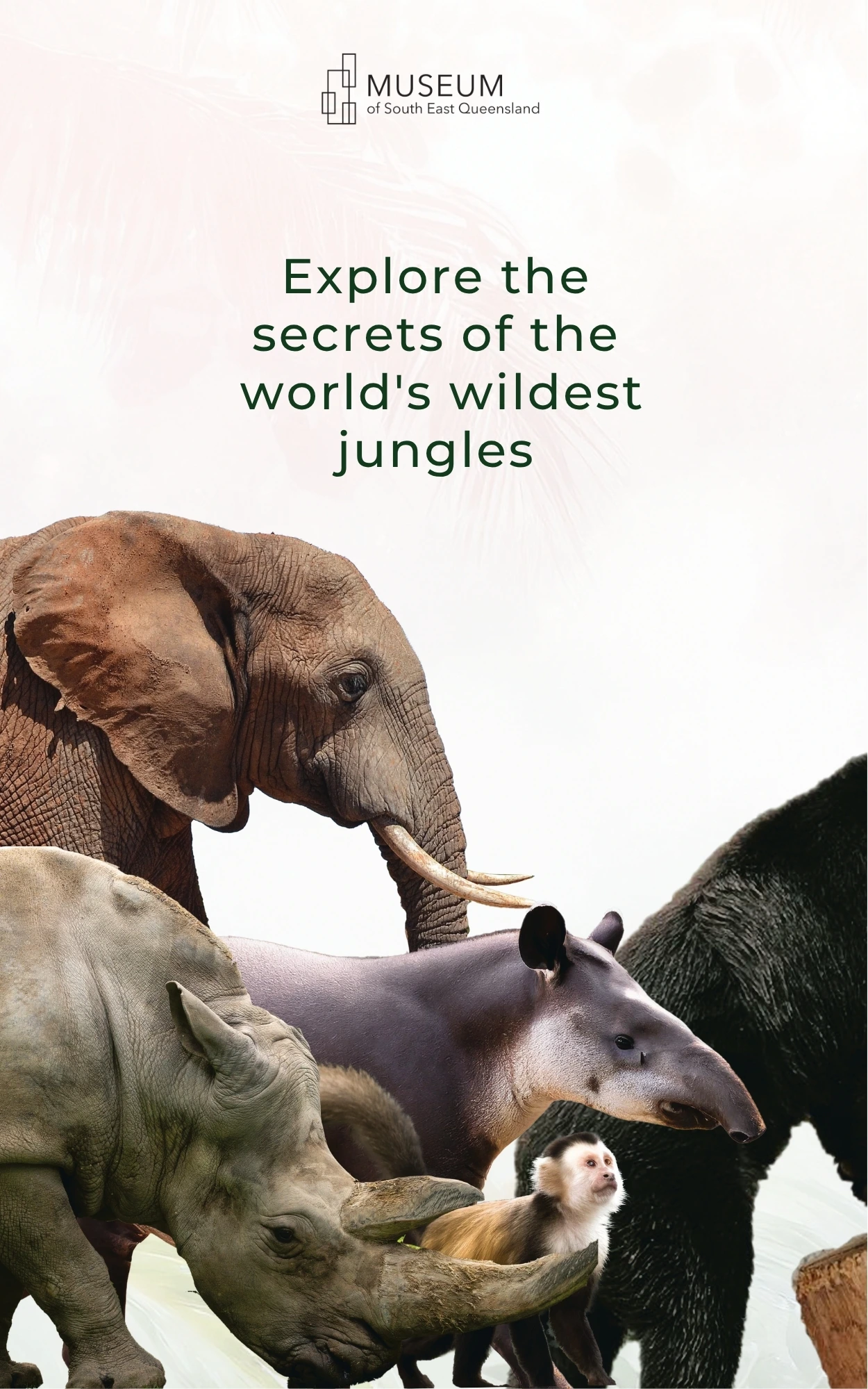 Detail of museum banner graphic design showing colour, imagery and composition