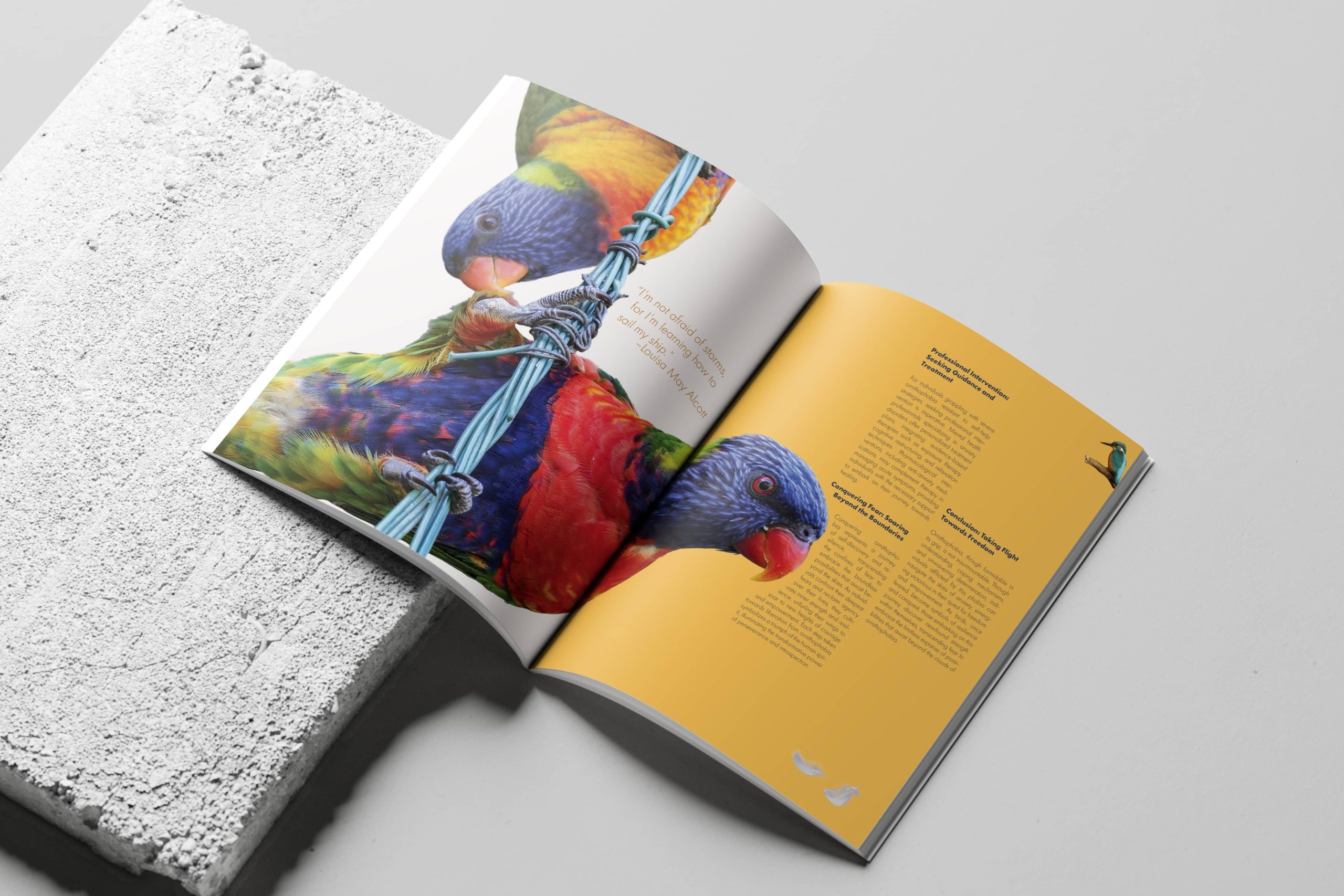 editorial design Brisbane