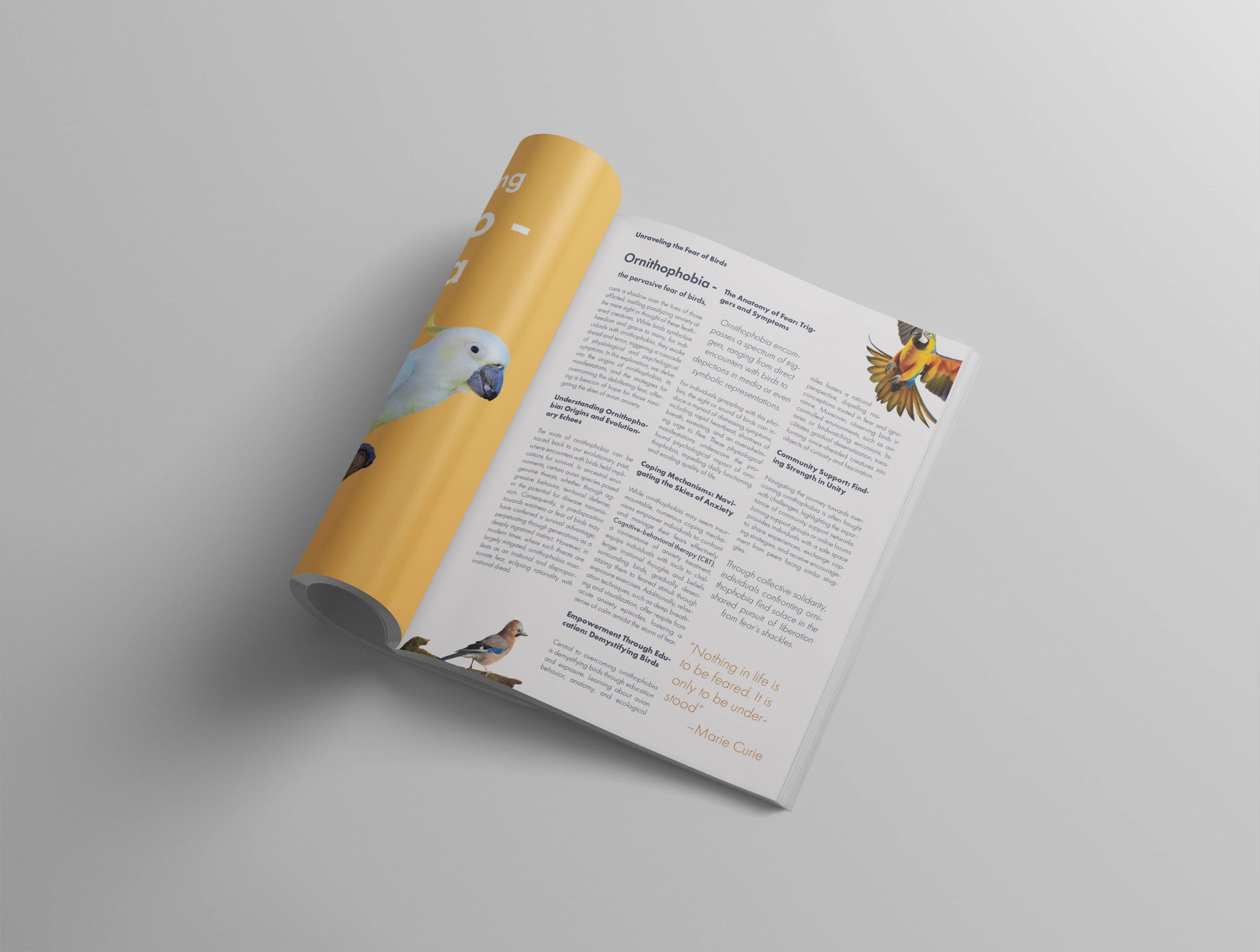 editorialdesign-layout-Narangba