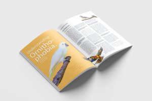 editorial design Brisbane