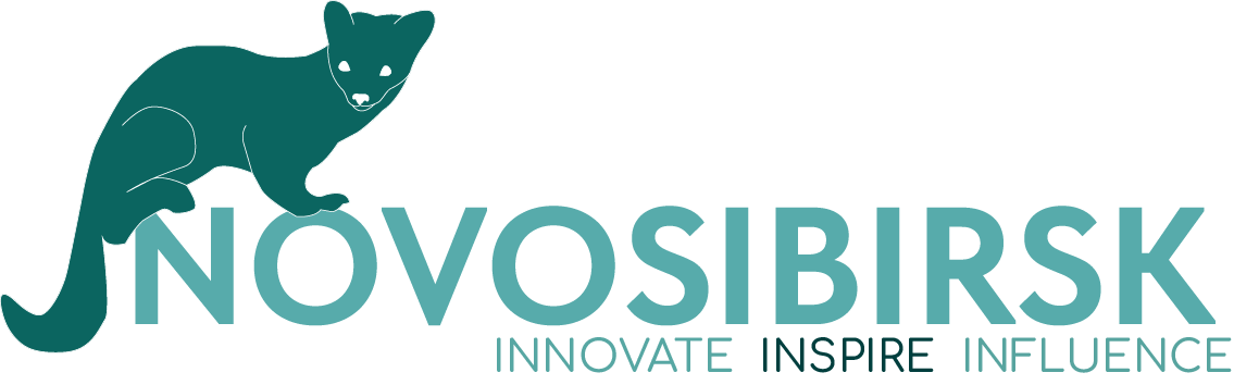 professional logo designer Brisbane